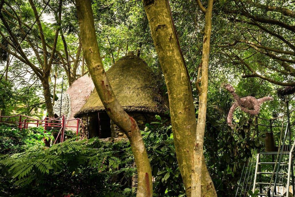Nhà trên cây Cosy Tree House - Homestay đẹp, giá rẻ tại Hà Nội