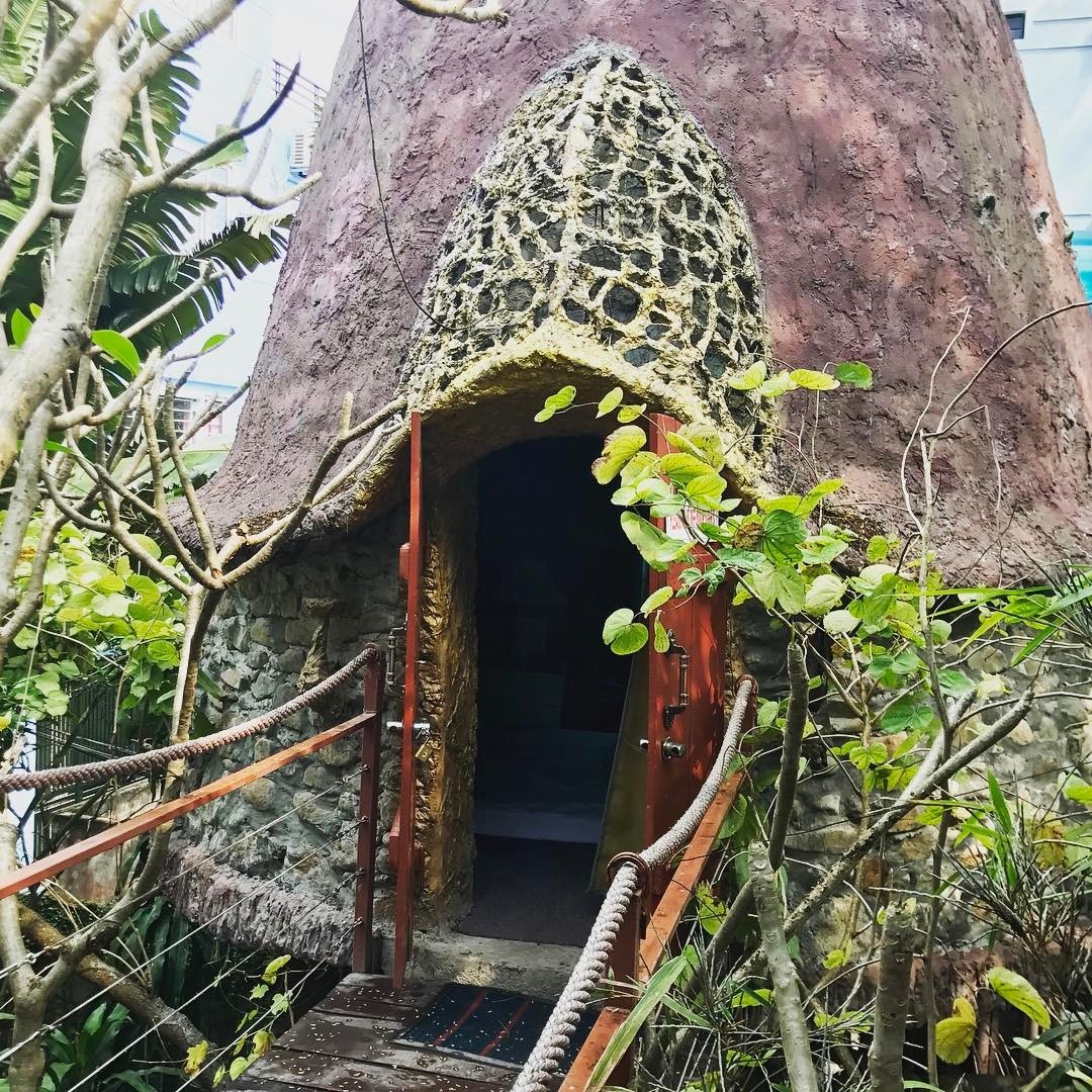 Nhà trên cây Cosy Tree House - Homestay đẹp, giá rẻ tại Hà Nội