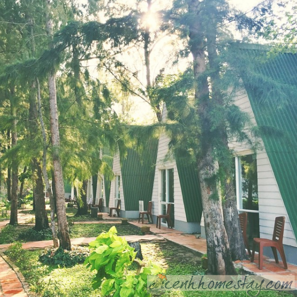 Homestay đẹp côn đảo giá rẻ