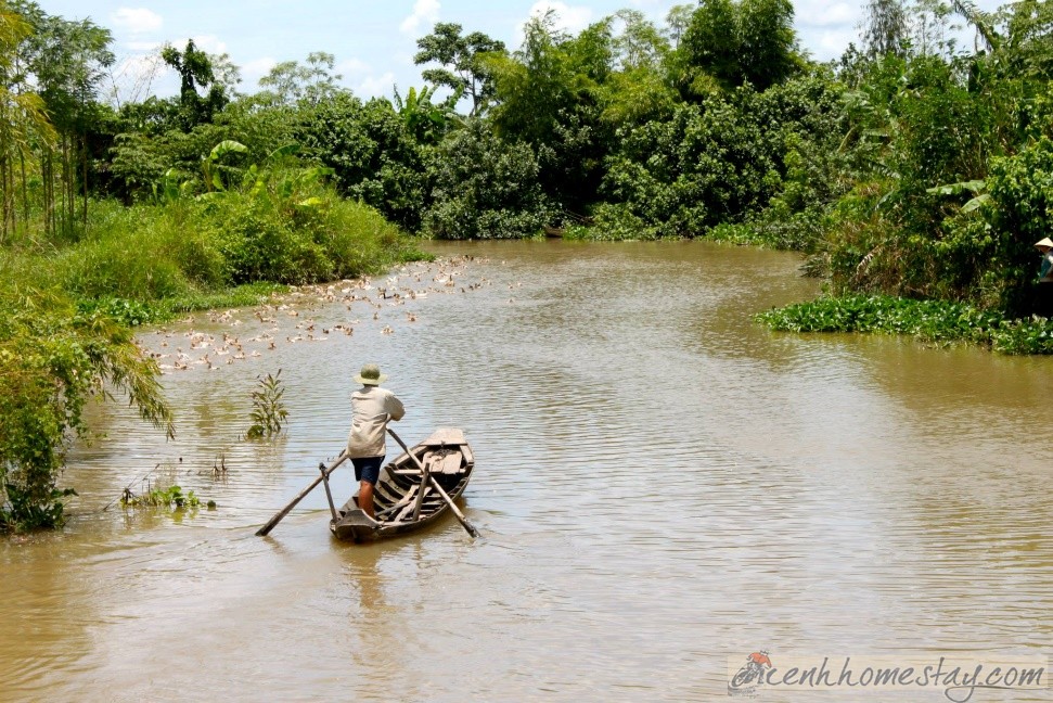 Homestay Nguyen Shack Cần Thơ, Đồng Bằng Sông Cửu Long