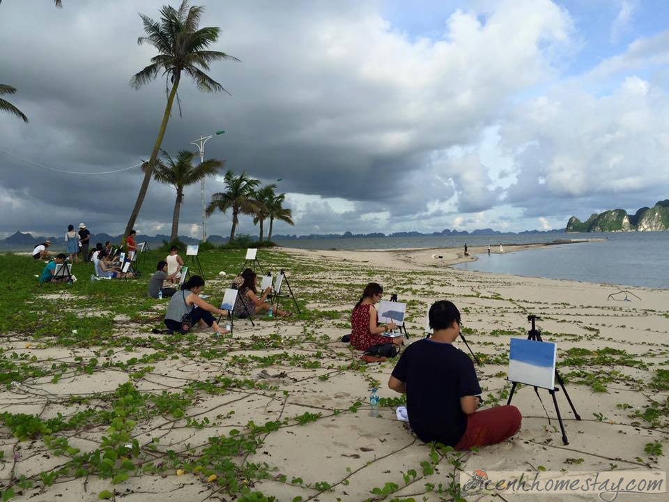 Top 4 beautiful homestays in Ha Long for tourists to change the wind