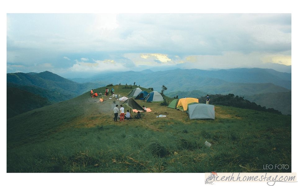 30 Trải nghiệm khó quên trên cung trekking Tà Năng Phan Dũng