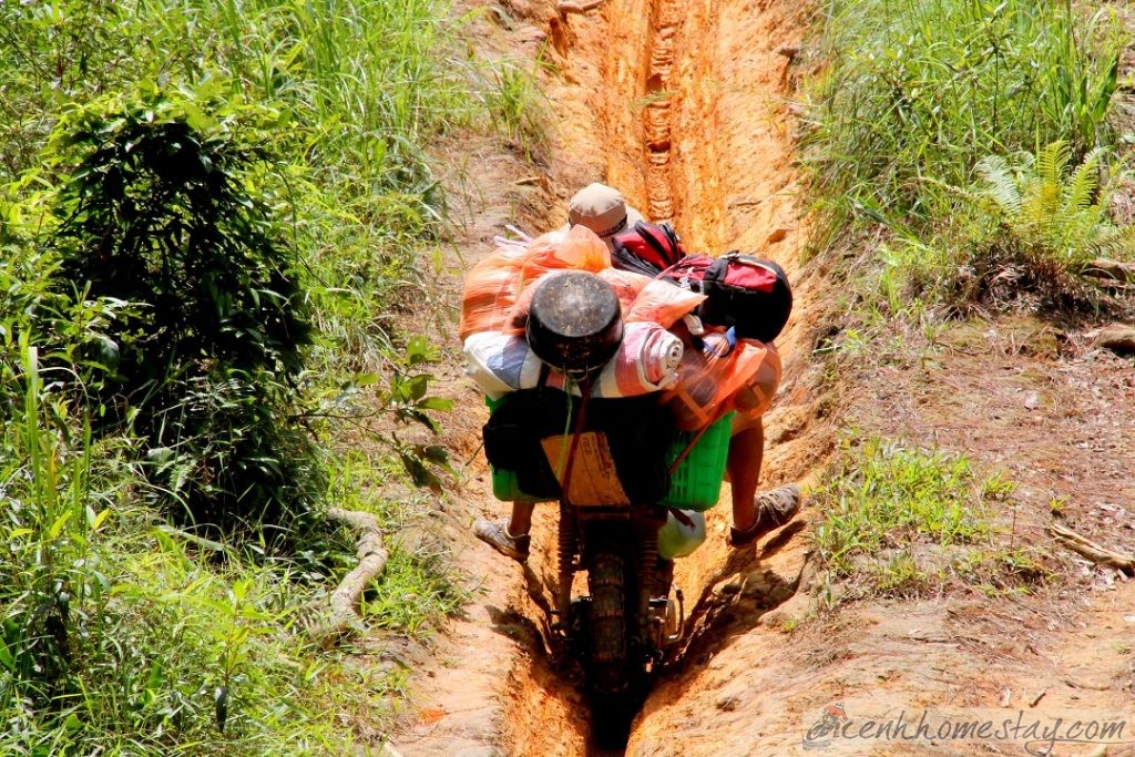 Tà Năng Phan Dũng: Kinh Nghiệm Trekking Cung đường đẹp Nhất Việt Nam