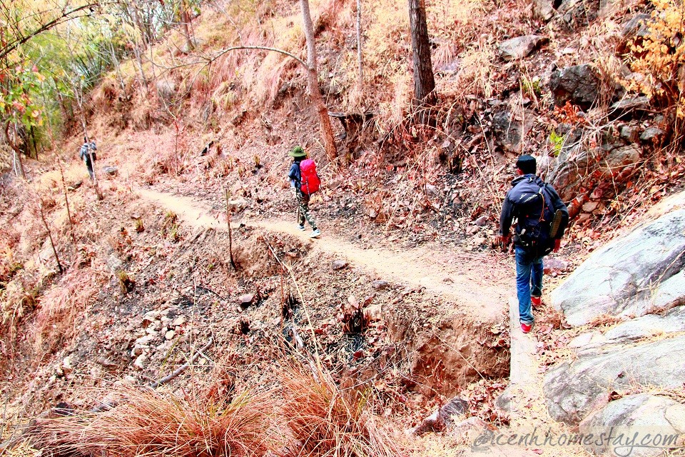30 Trải nghiệm khó quên trên cung trekking Tà Năng Phan Dũng