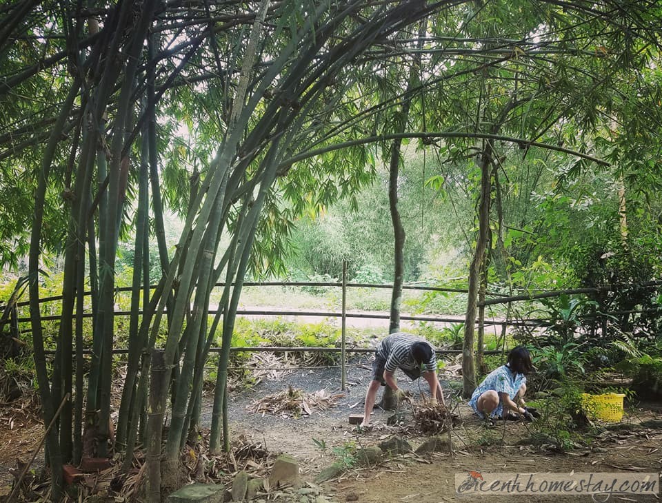 "Điên chất ngất" với homestay Trại Điên độc lạ giữa núi rừng Đà Nẵng