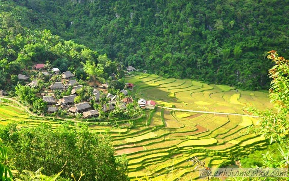10 homestay Pù Luông - Thanh Hóa đẹp rẻ thích hợp nghỉ dưỡng khám phá