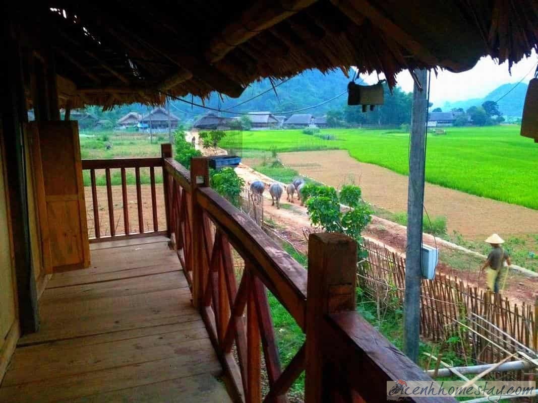 Top 50+homestay Hà Giang giá rẻ và đẹp níu chân du khách phương xa