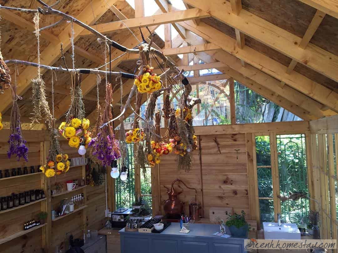 Naunau's Garden Homestay cho trải nghiệm làm mỹ phẩm thiên nhiên