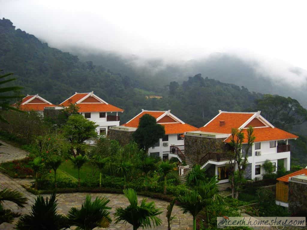 10 homestay tại Tam Đảo Vĩnh Phúc view đẹp khủng làm điên đảo dân thủ đô