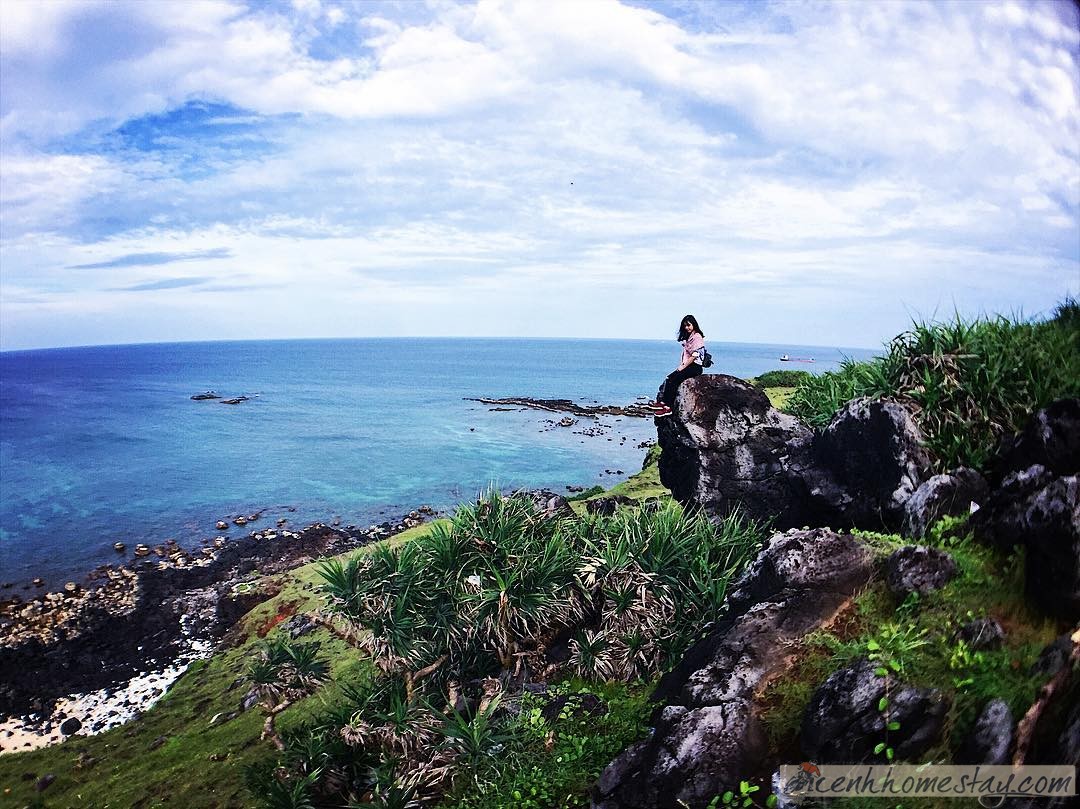 Kinh nghiệm du lịch đảo Phú Quý: Lịch trình chi tiết từ A-Z chỉ với 1 triệu đồng