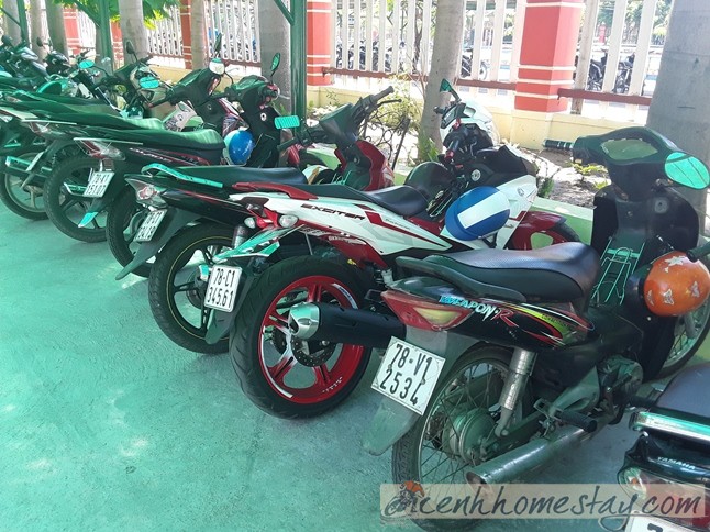 Top địa chỉ cho thuê xe máy tại Tuy Hòa - Phú Yên uy tín giá rẻ