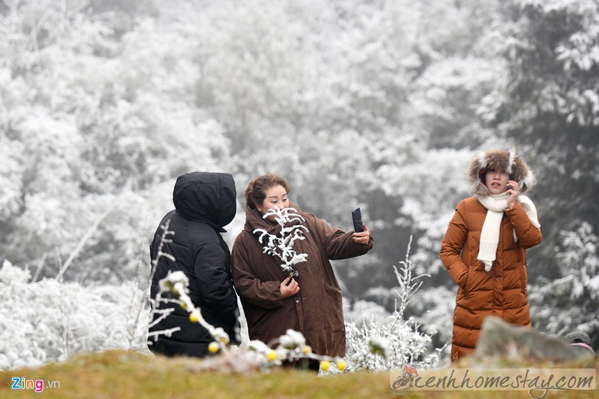 Tuyết Sapa rơi tuyệt đẹp, du khách không ngại băng rừng để check-in