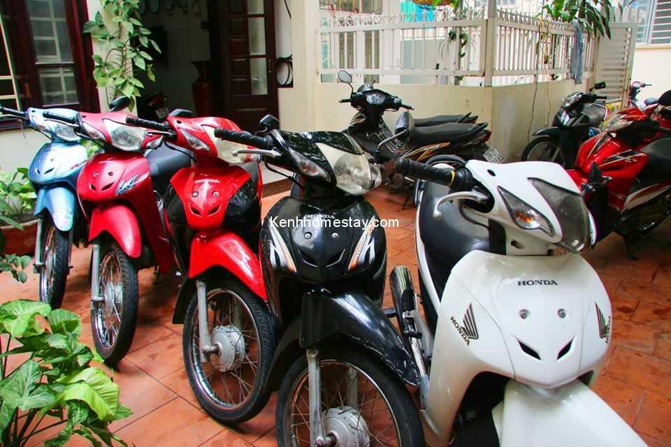 Top 22 địa chỉ cho thuê xe máy Nha Trang uy tín giá rẻ 80k ngày giao tận nơi