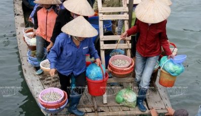 Top 10 Chợ/ Vựa hải sản Quảng Ninh tươi sống đáng để mua