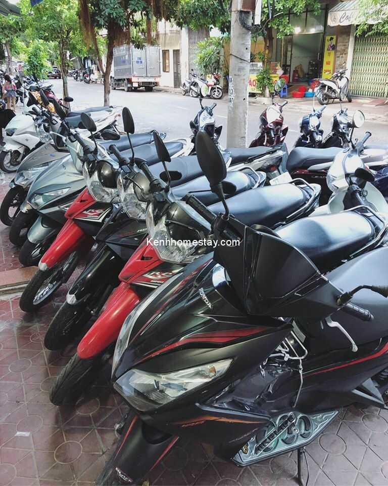 Top 38 địa chỉ cho thuê xe máy Quy Nhơn Bình Định giá rẻ chỉ từ 100k