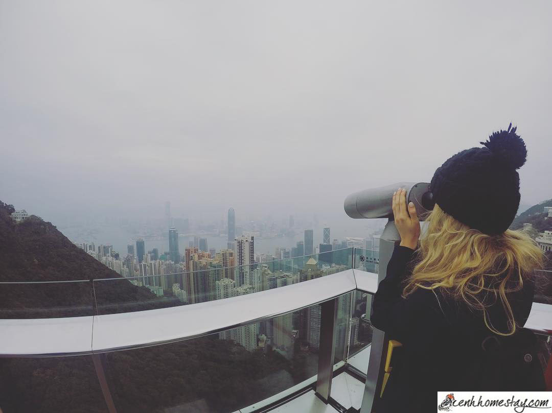 Kinh nghiệm phượt du lịch Hồng Kông tự túc: lịch trình, tham quan, ăn uống A-Z