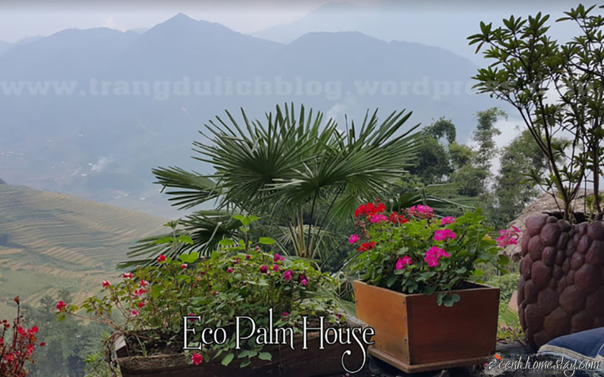 Eco Palms House – khung trời bình yên giữa lòng Sa Pa Lào Cai