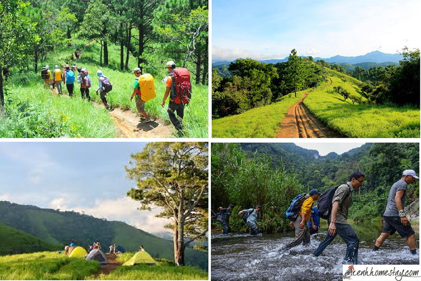 Tour trekking Tà Năng Phan Dũng 3 ngày 2 đêm đi qua thác Yaly đẹp mê ly