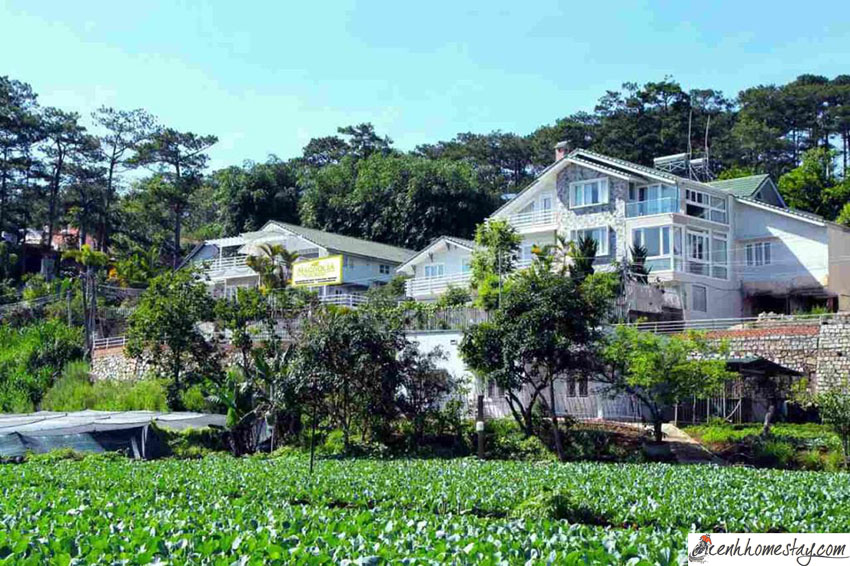 84 Biệt thự villa Đà Lạt giá rẻ view đẹp gần chợ trung tâm có hồ bơi