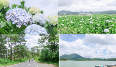 Tour du lịch Ninh Thuận Đà Lạt 3 ngày 2 đêm check-in nhiều cảnh đẹp