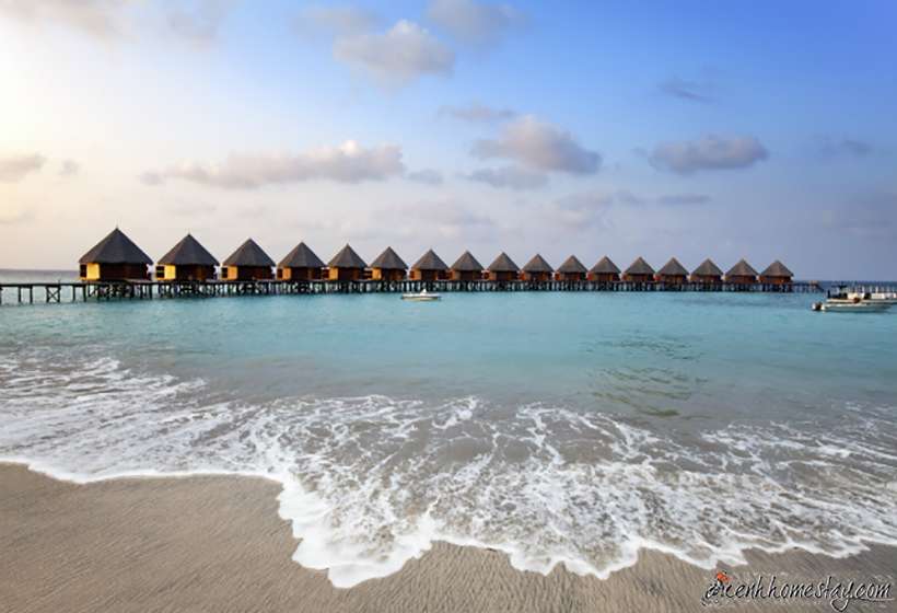 Review kinh nghiệm phượt du lịch Maldives tự túc giá rẻ từ A-Z