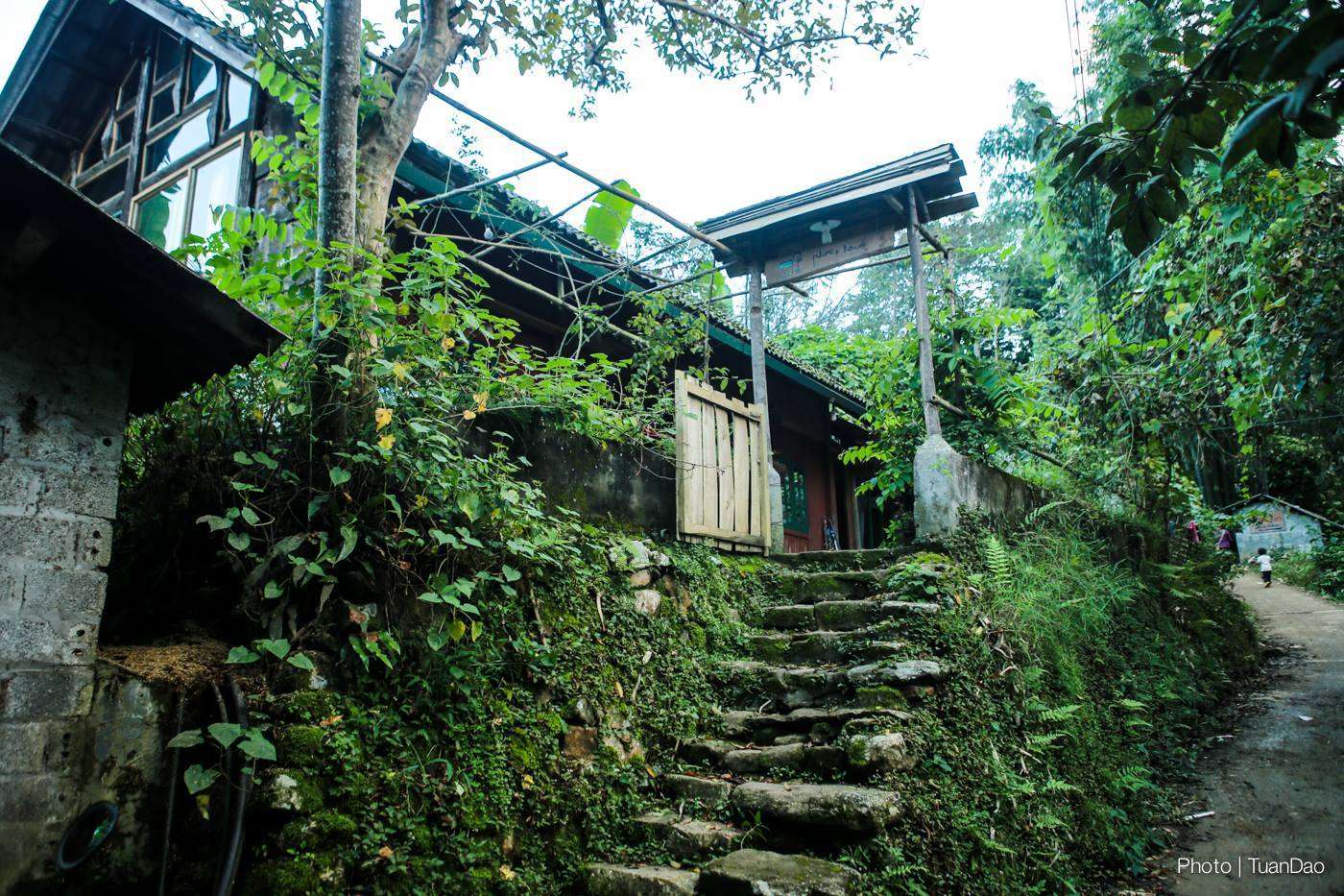 Phơri's House homestay Sapa