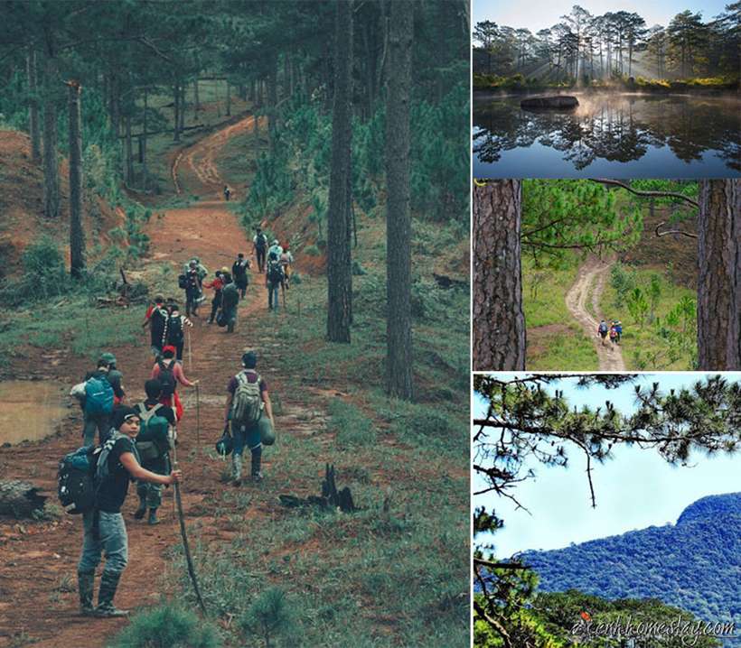 Kinh nghiệm trekking Bidoup Núi Bà tự túc cho người lần đầu