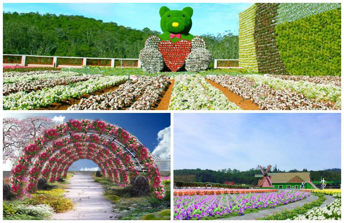 Fresh Garden: Công trình tuyệt tác về hoa cực đẹp hoàng tráng ở Đà Lạt