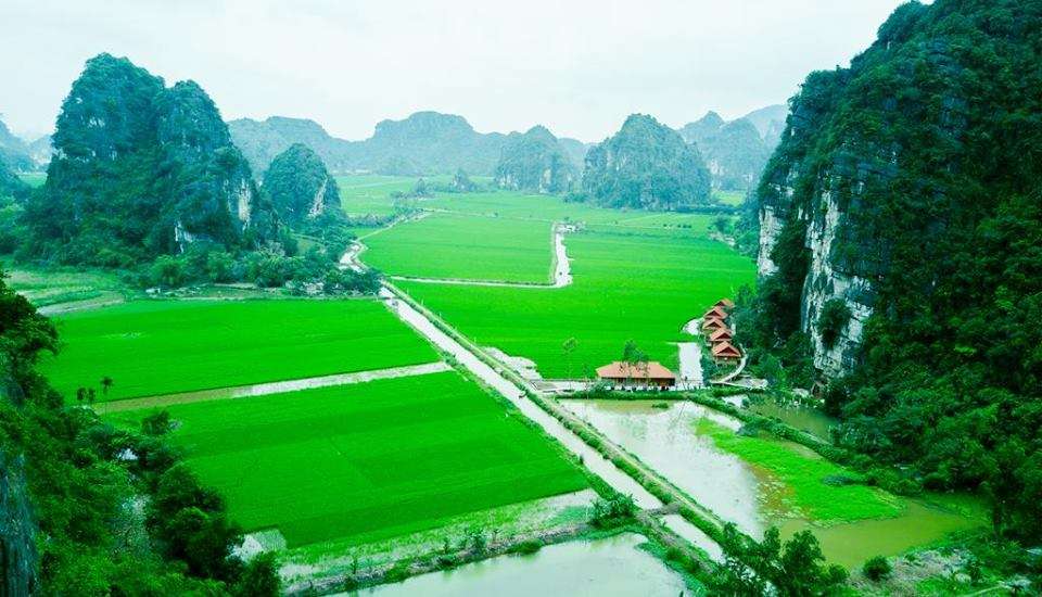 Lotus field homestay ở Hoa Lư, Ninh Bình