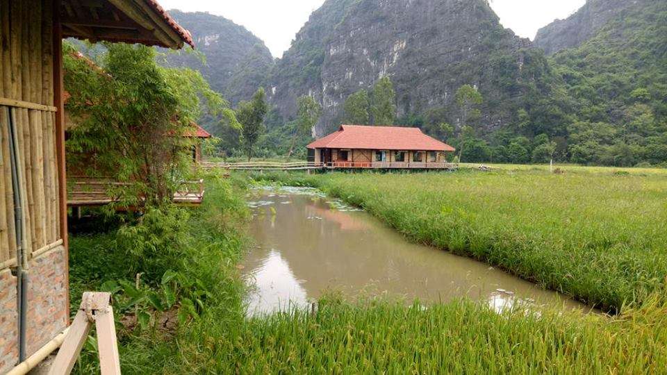 Lotus field homestay ở Hoa Lư, Ninh Bình
