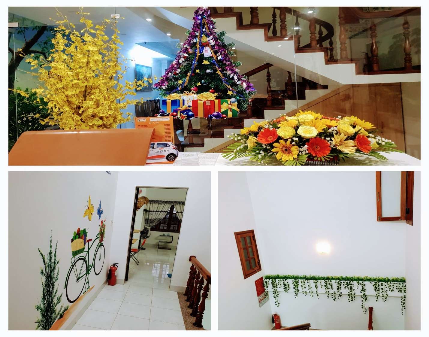Ngẩn ngơ với vẻ đẹp kiêu sa khi nghỉ dưỡng tại Lotus Homestay sang trọng nhất nhì Phú Yên