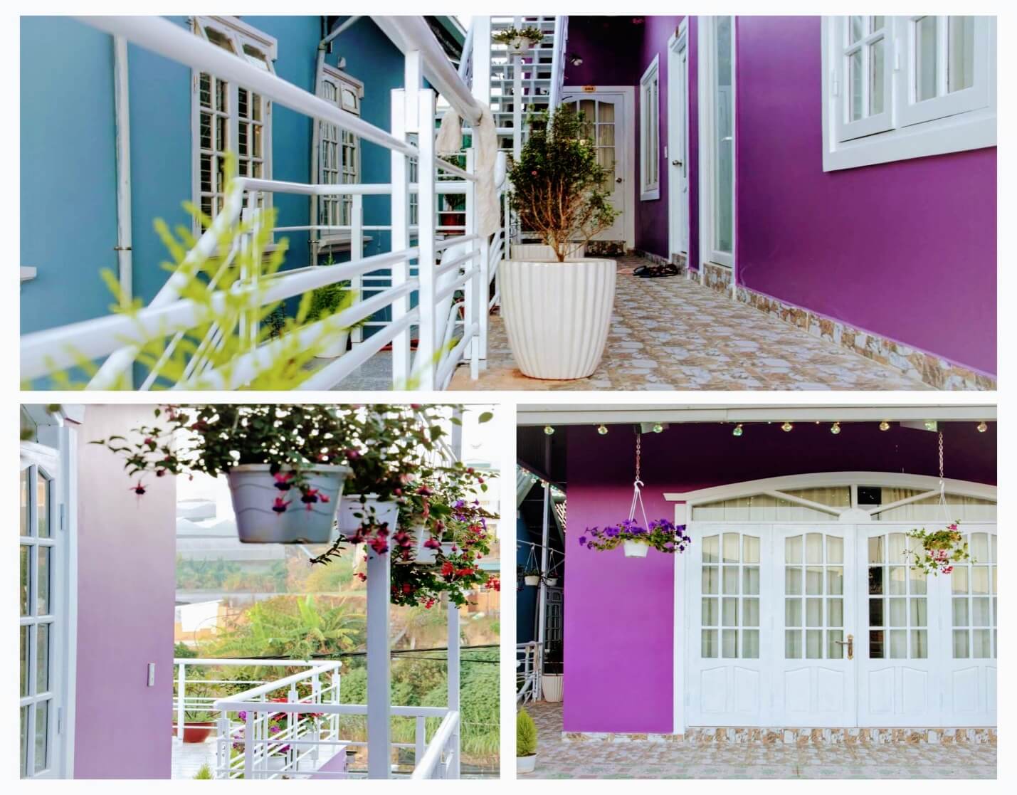 Homestay Purplehouse - ngôi nhà màu tím giữa thánh địa sống ảo Đà Lạt