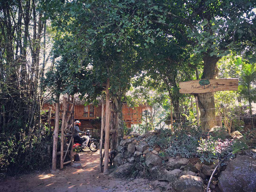 PuluongTreehouse Thanh Hóa