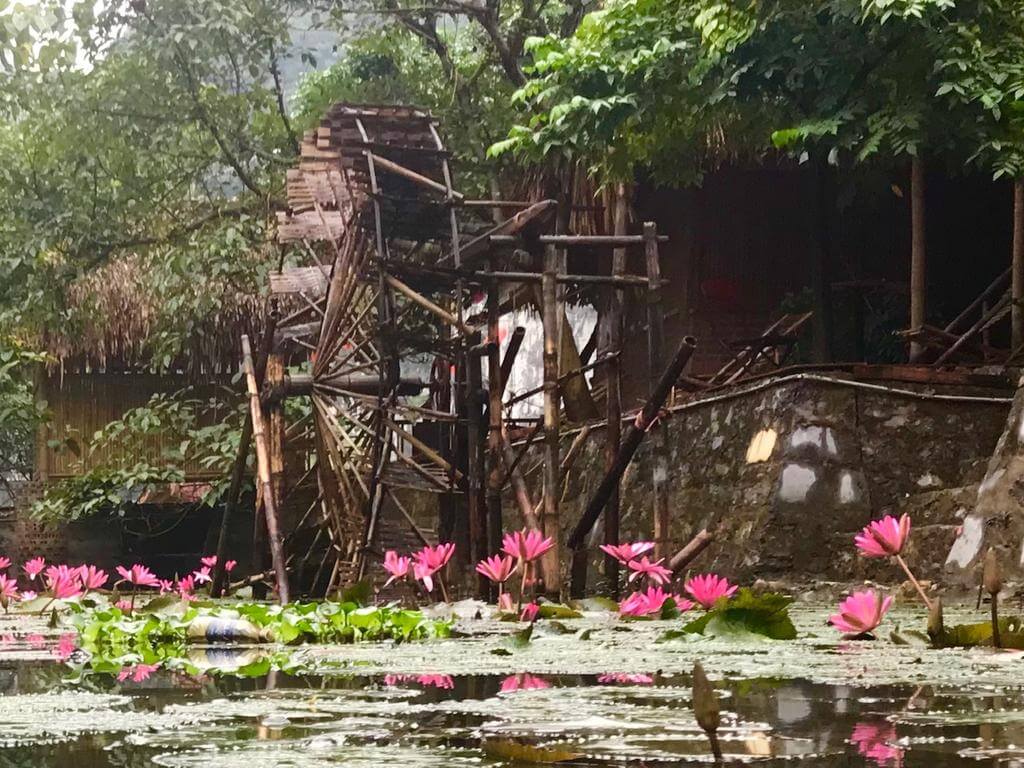 Quoc Khanh Bamboo Homestay Ninh Bình