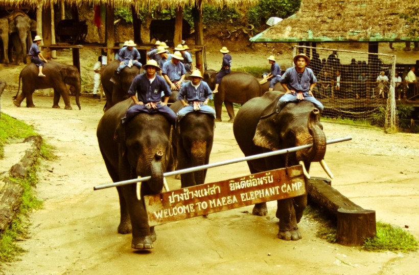 Địa điểm du lịch Chiang Mai