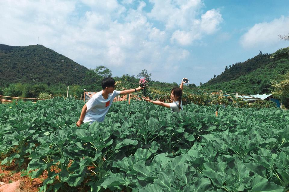 B&U Farm - thiên đường xanh đẹp mê hồn "GÂY SỐT" ở Phú Yên