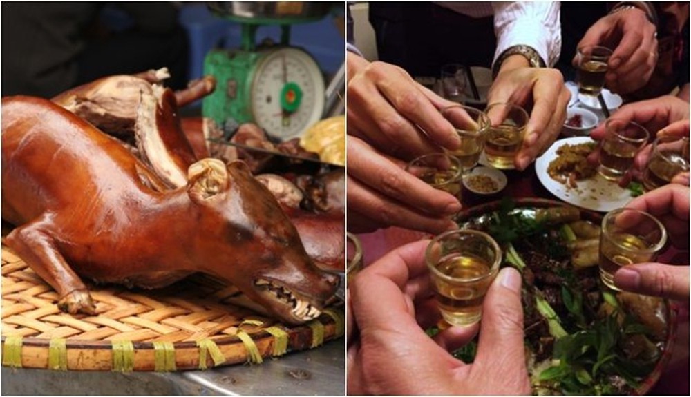 10 Quán thịt chó Sài Gòn – TPHCM ngon NHỨT NÁCH khiến bạn thòm thèm