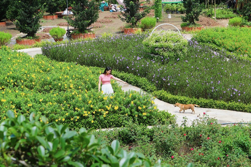 Review Sadec Farmstay – Khu vườn nghệ thuật với hơn 4000 tác phẩm hoa kiểng