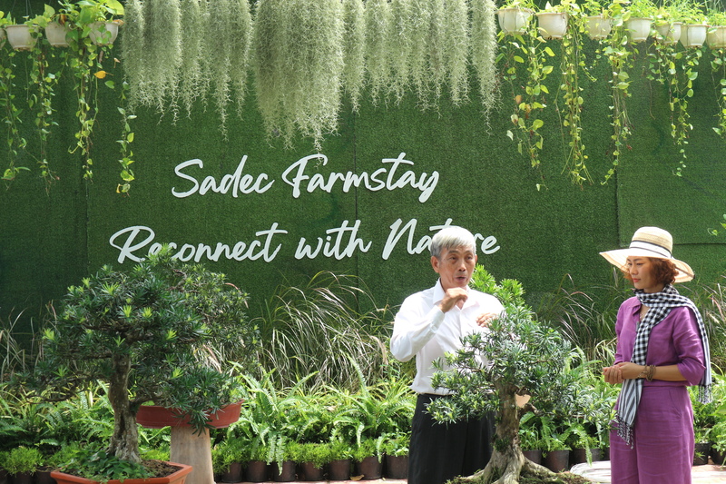 Review Sadec Farmstay – Khu vườn nghệ thuật với hơn 4000 tác phẩm hoa kiểng