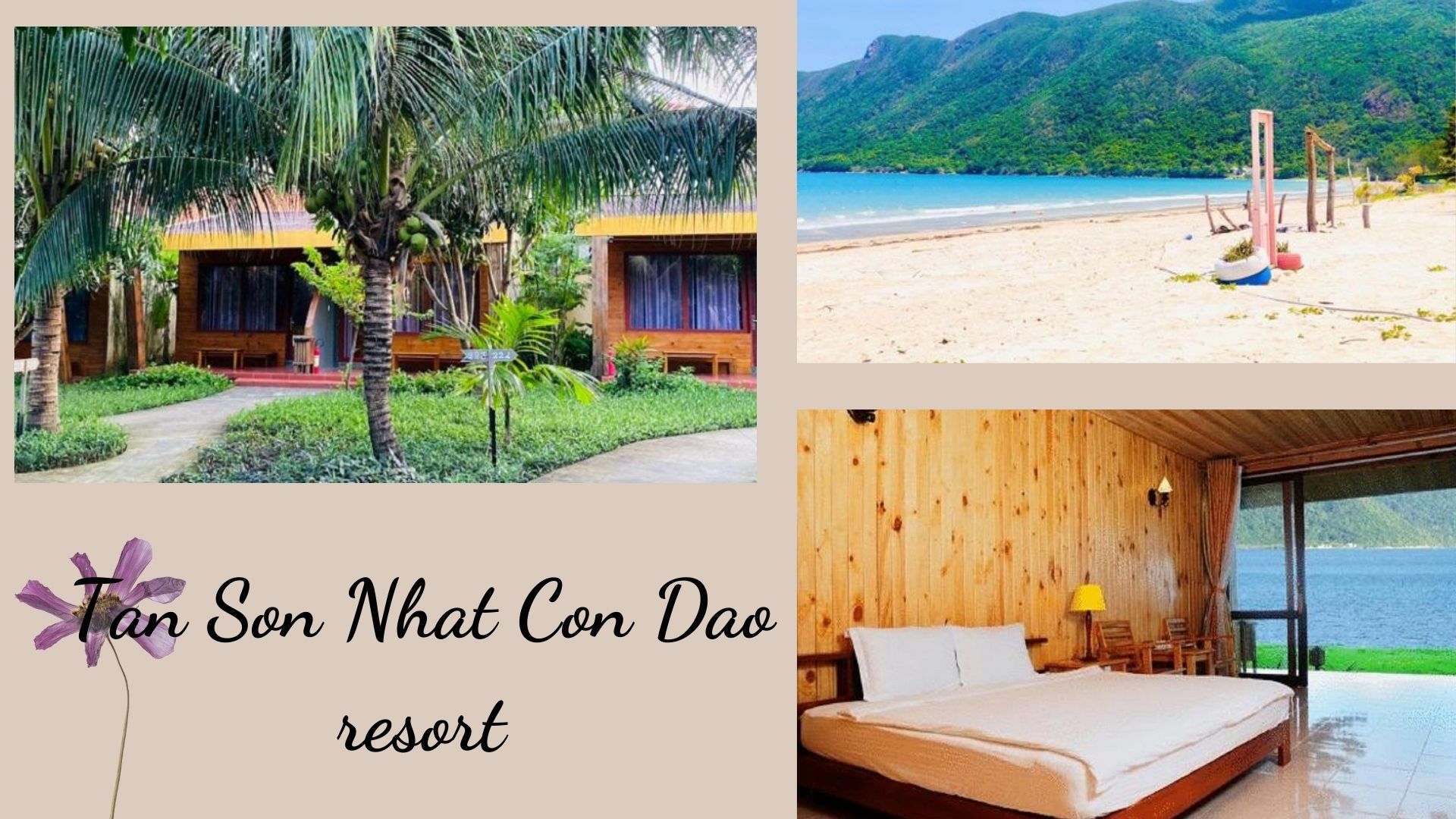 Top 6 Resort Côn Đảo sát biển view đẹp nhất từ giá rẻ đến 3-4-5-6 sao