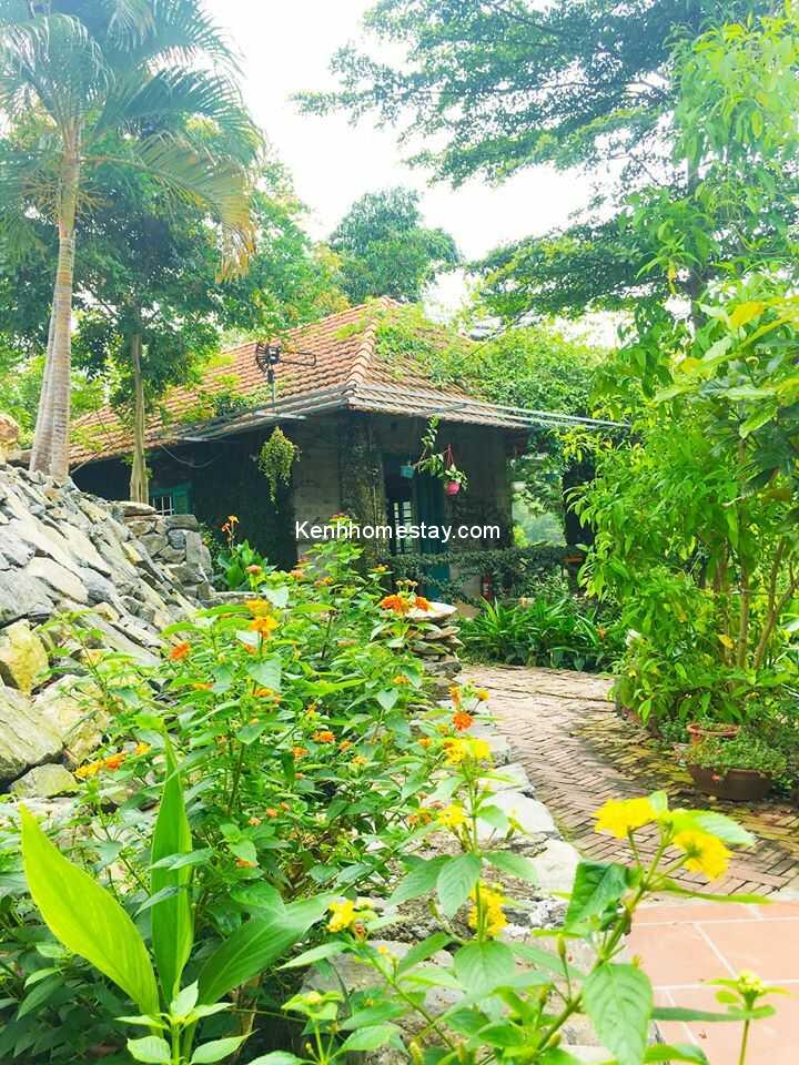 Top 11 resort Tam Đảo Vĩnh Phúc giá rẻ view đẹp có hồ bơi nhìn là mê