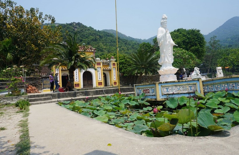Review du lịch Cù Lao Chàm dành cho những tín đồ mê “vitamin sea”
