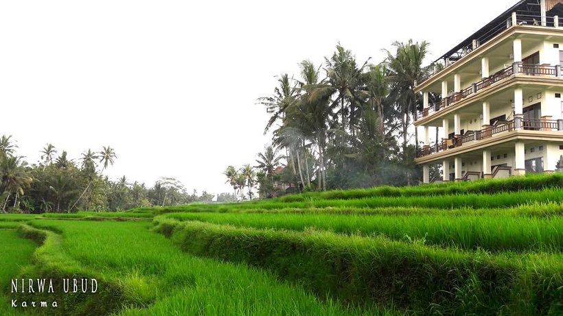 10 Homestay Ubud tuyệt đẹp cho du khách Việt nghỉ dưỡng ở đảo Bali