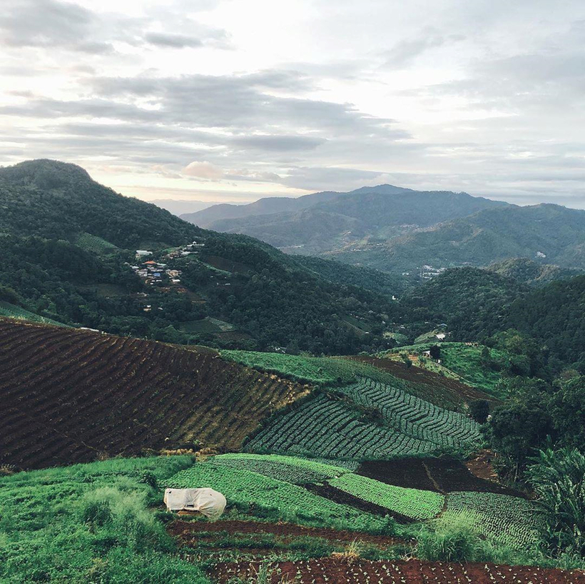 Phu Doi Homestay ở Chiang Mai có view ngắm cảnh đồi núi như mơ