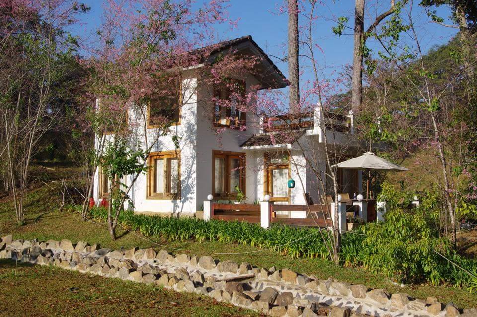 The LaAN Estate – Khu nghỉ dưỡng ở Lạc Dương đậm chất nghệ thuật Retro