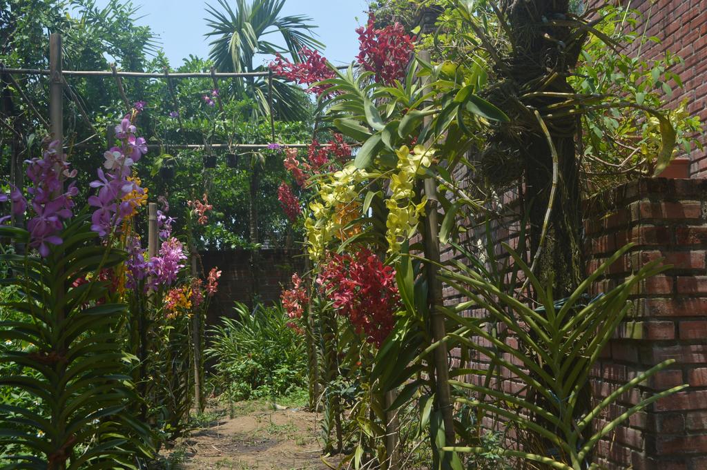 The Hoi An Orchid Garden Villas