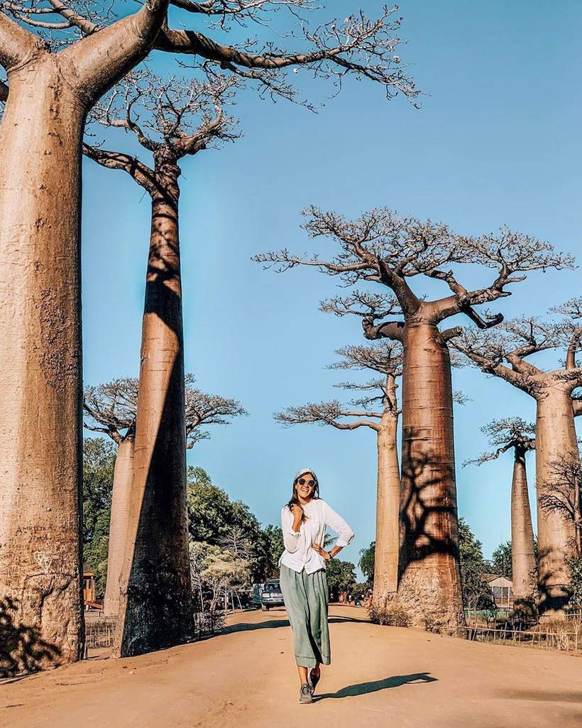 Kinh nghiệm du lịch Madagascar chiêm ngưỡng “Cây lộn ngược” trên đại lộ