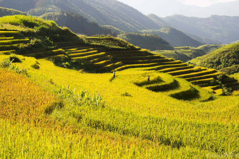 Kinh nghiệm đi du lịch Y Tý – Lào Cai: Những điểm đẹp nên đi nhất