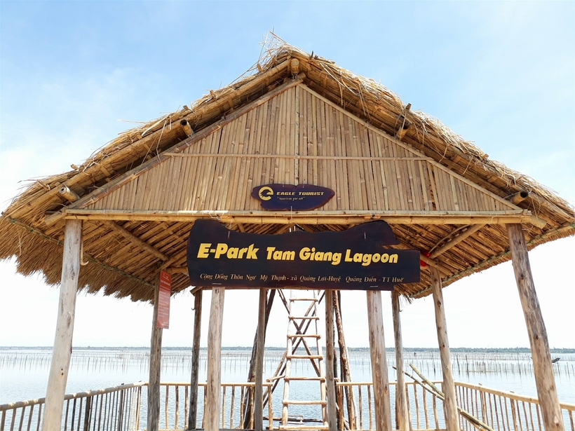 Kinh nghiệm đi du lịch Phá Tam Giang: Những điểm đẹp nên đi nhất