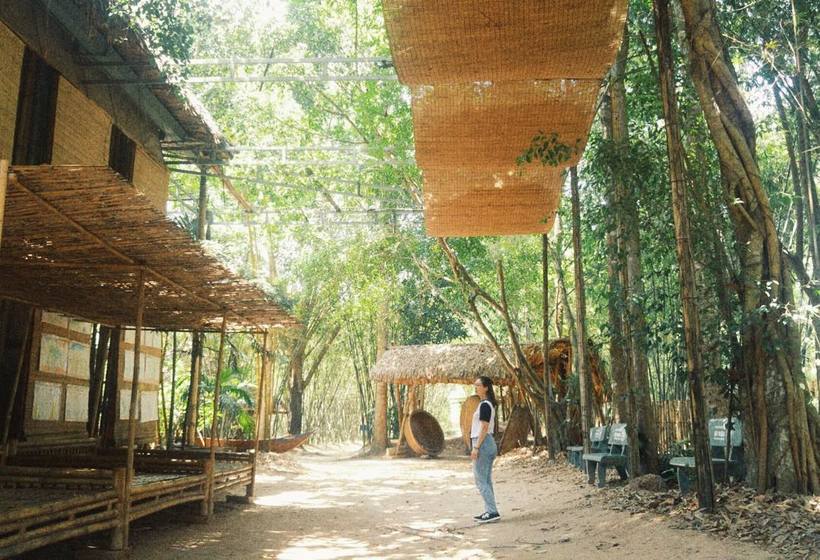 Kinh nghiệm đi làng Tre Phú An – Đến với mê cung tre lớn nhất Đông Nam Á